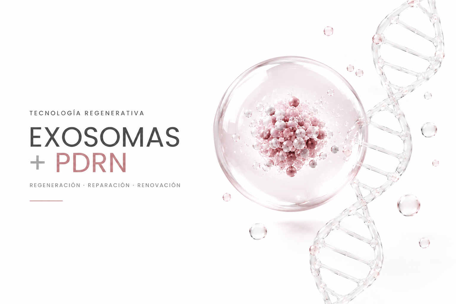 Protocolo Regenera · Exosomas + ADN de salmón